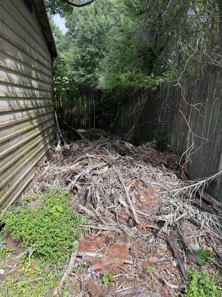 Debris-filled side yard before cleanup